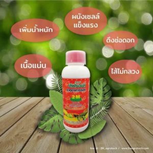 เอนไซม์ 2